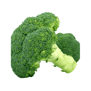 Broccoli - Bunch vacation grocery