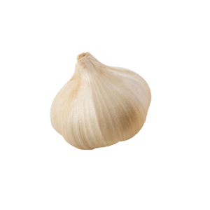 Garlic Bulb vacation grocery