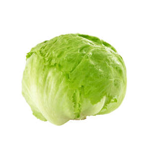 Iceberg Lettuce - Head vacation grocery