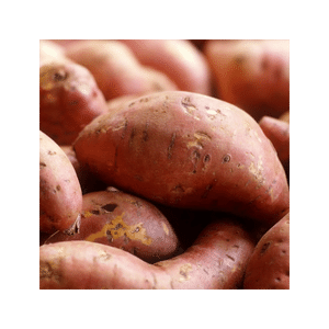 Sweet Potato vacation grocery