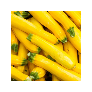 Yellow Squash - Each vacation grocery